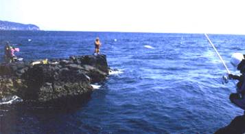 ���̓���ނ�