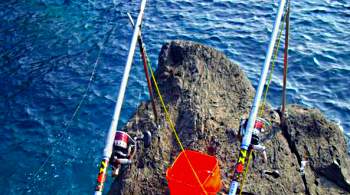 ���̓���ނ�