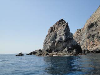 �P���@��̃C�\