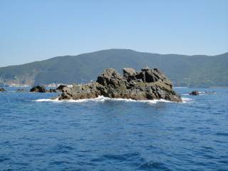 �����o�G