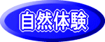 ���R�̌�